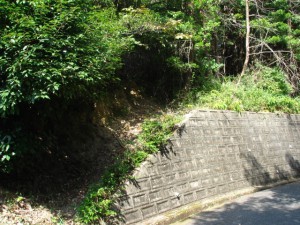 ご先祖様徹底調査
