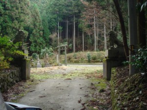 ご先祖様　徹底調査