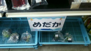 先祖調査
